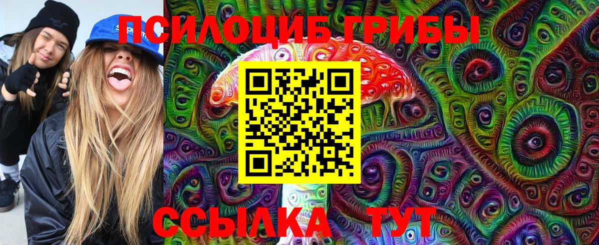 Псилоцибиновые грибы GOLDEN TEACHER  Псилоцибиновые грибы Magic Shrooms  купить наркотики сайты  Вход с VPN  Губкин 