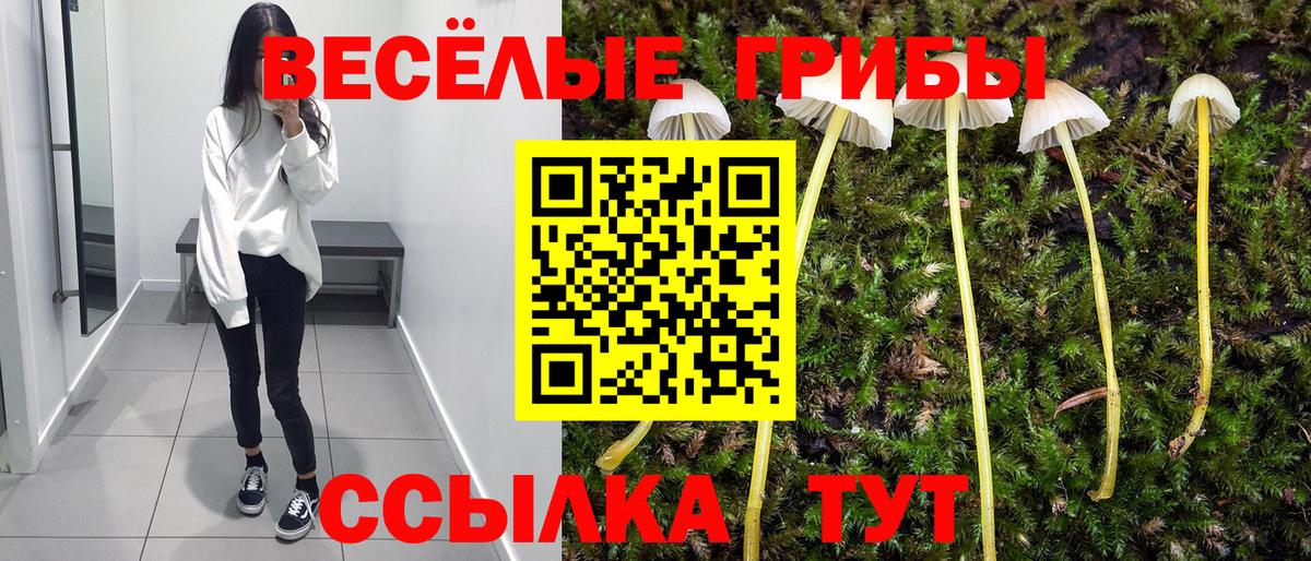 МЕФ   ГАШ  Гашиш  COCAIN  Вход с VPN  Губкин  МАРИХУАНА 